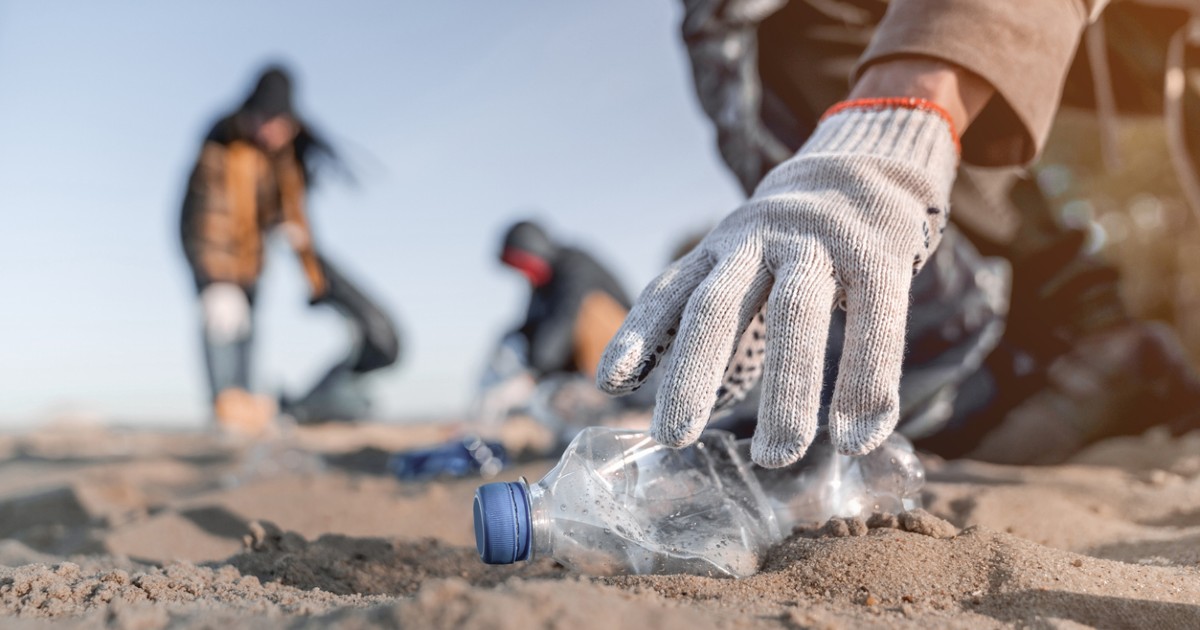 5 environmental charities in Australia and NZ that you can support