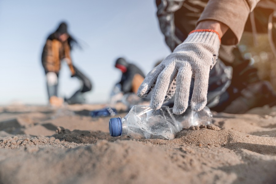 5 environmental charities making a positive impact in Australia and New Zealand