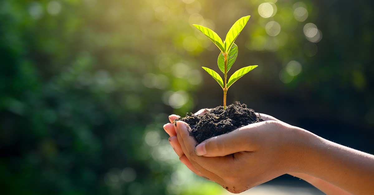 Does in-house print management support sustainable printing practices?