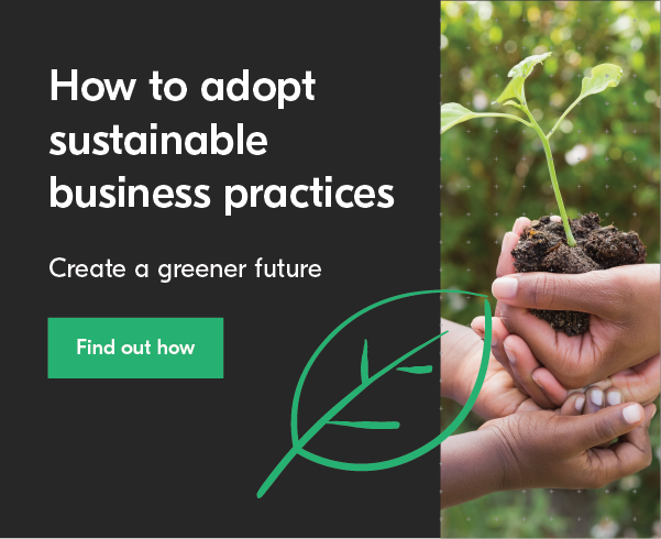 How to adopt sustainable business practices